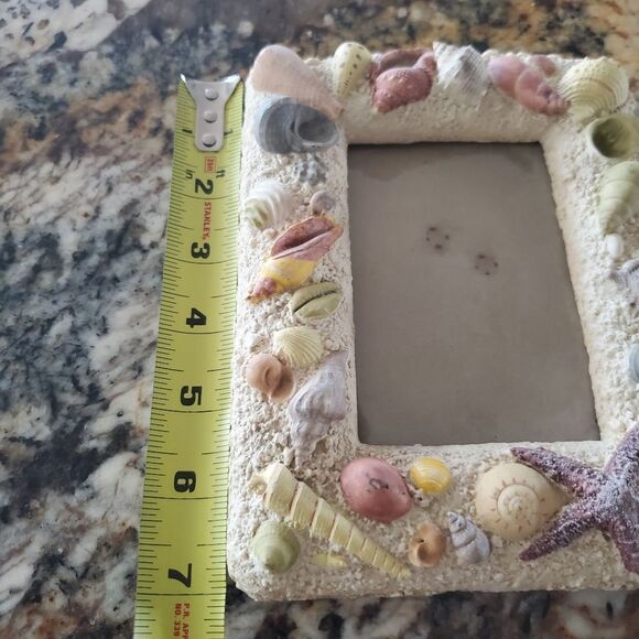 Colorful 3D Sea Shell Frame - Picture 6 of 7